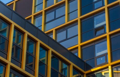 DSC08294_LD